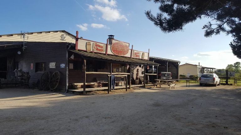 King S Valley Quarter Horses6 768x432