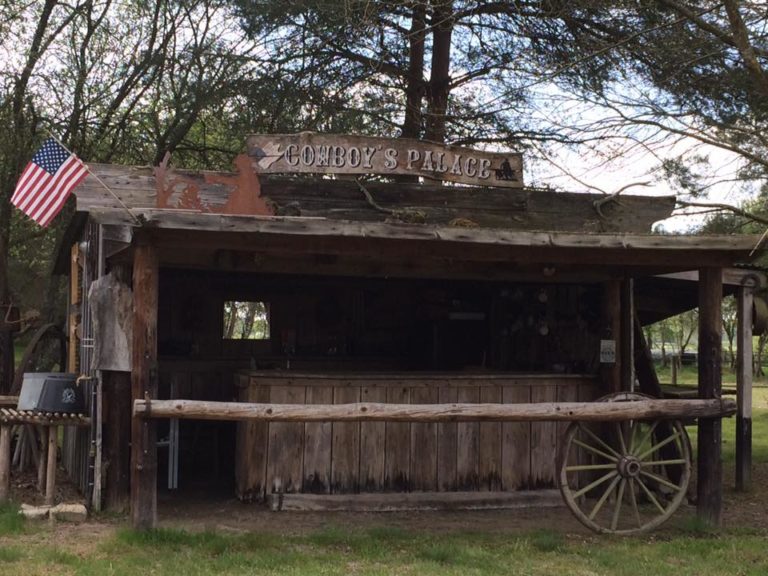 King S Valley Quarter Horses8 768x576