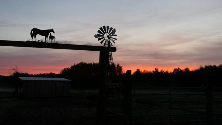 King S Valley Quarter Horses9 768x432