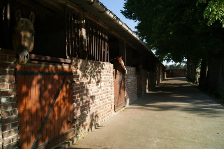 La Ferme des Tilleuls2 768x513