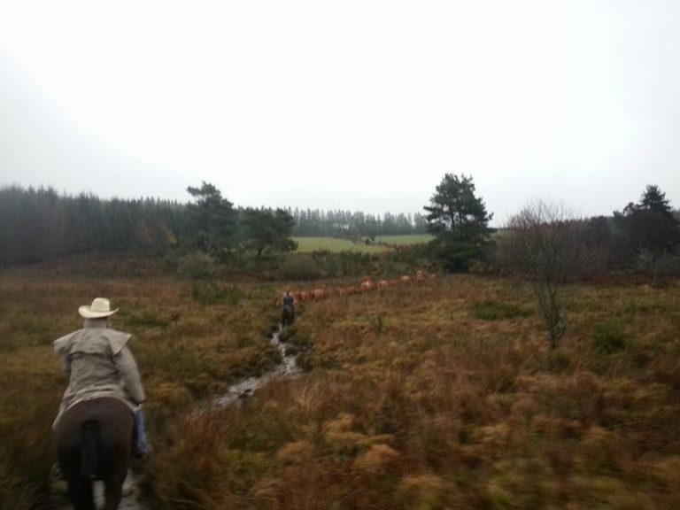 Made In The USA4 768x576