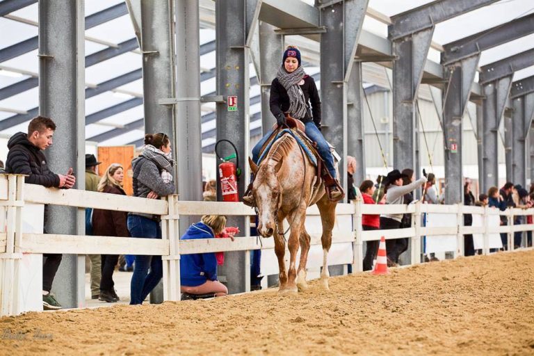 JB equine performance img 768x512