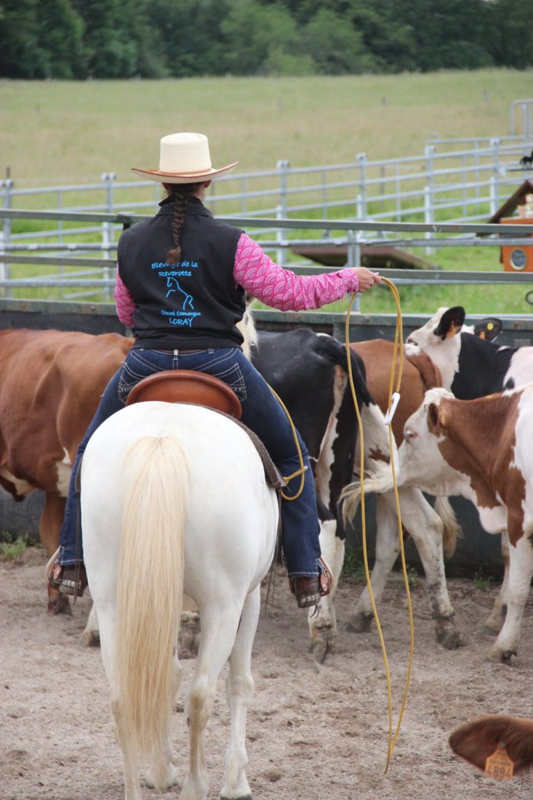 elevage de la reverotte img 2 768x1152