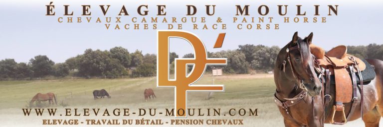 levage du moulin 768x256