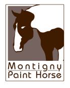 montigny paint horse logo 1