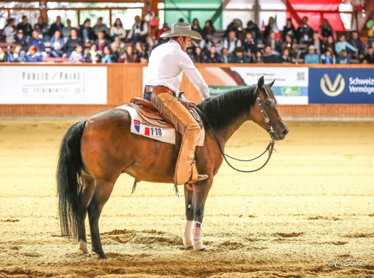 poard farm img1 768x571