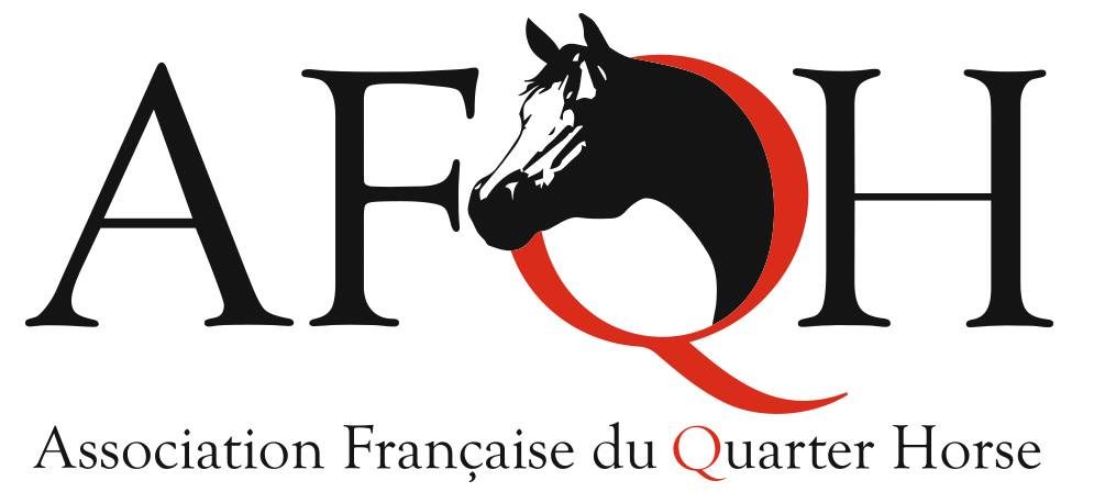 Qu'est-ce que la discipline western ?  Fédération Française d'Équitation -  FFE