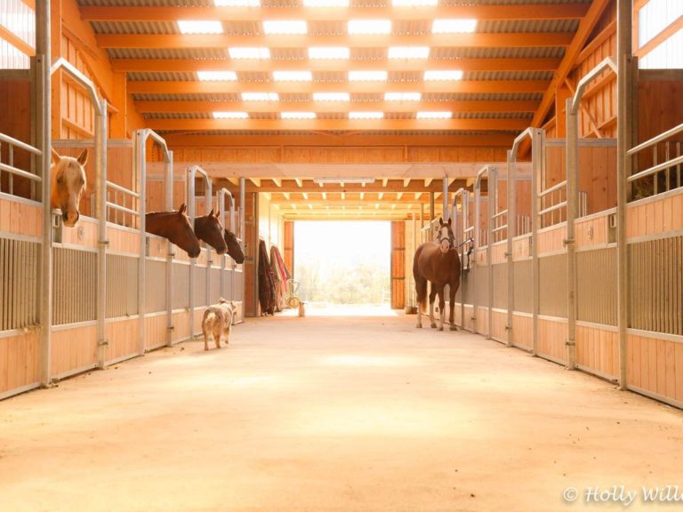vano stables img1 768x576