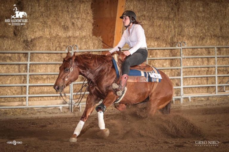 vano stables img2 768x512