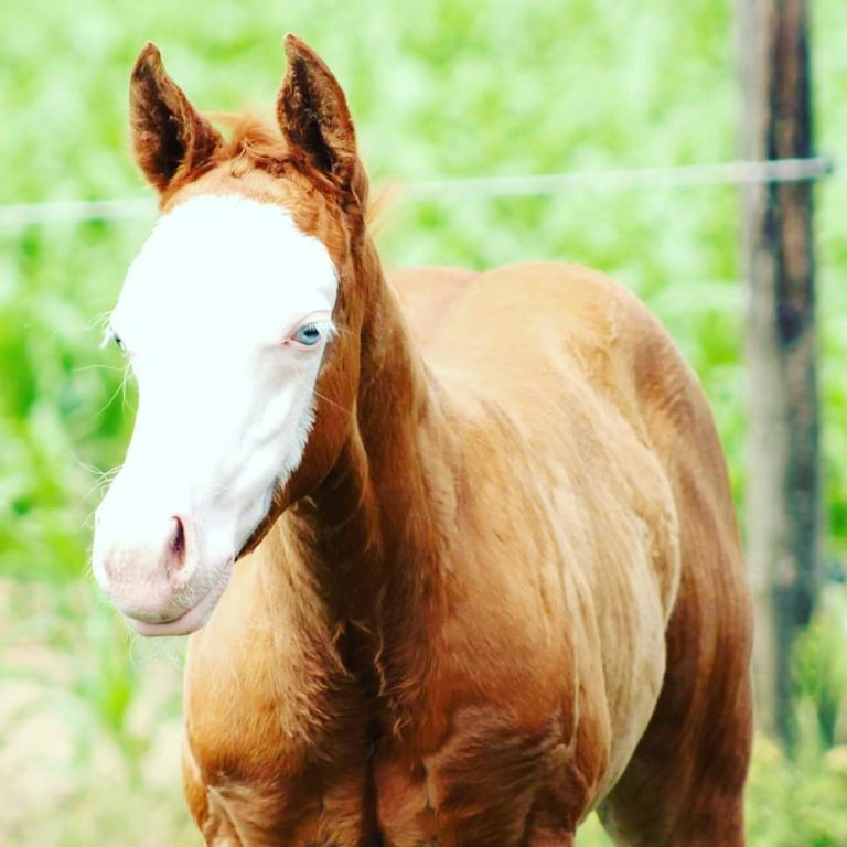 danielle godefroitt 768x768