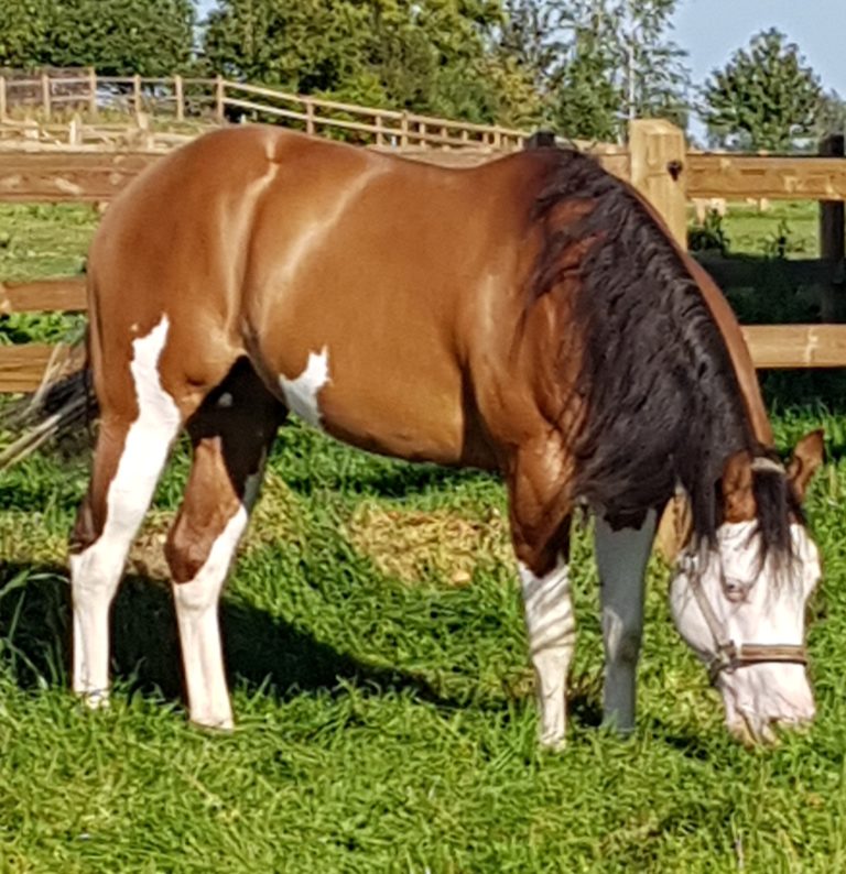 danielle godefroitt img2 768x794