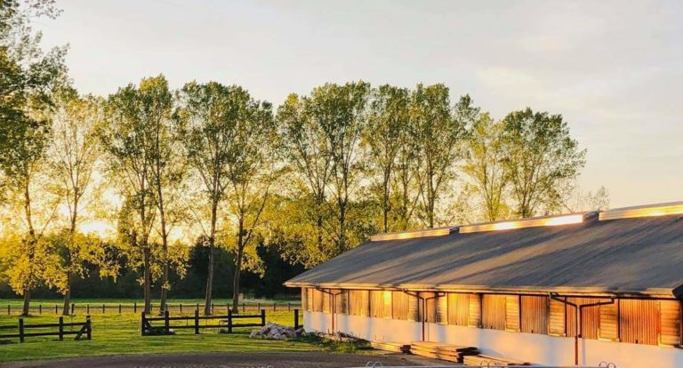 william performance img 2 768x414