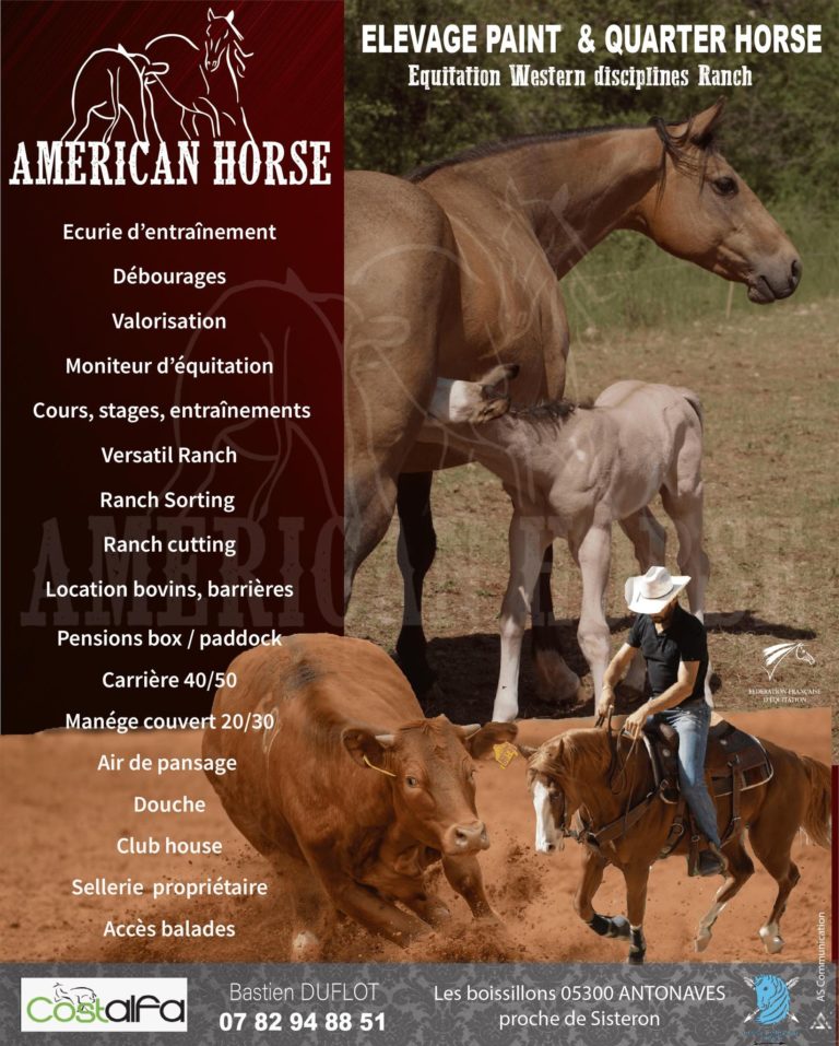 American Horse img1 768x957