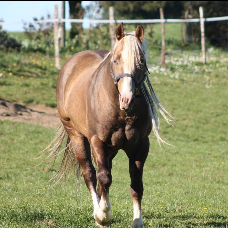 Screenshot 20211106 192654 Facebook 04e16b33ae9336e0a02892edbe4ff1cc 768x768