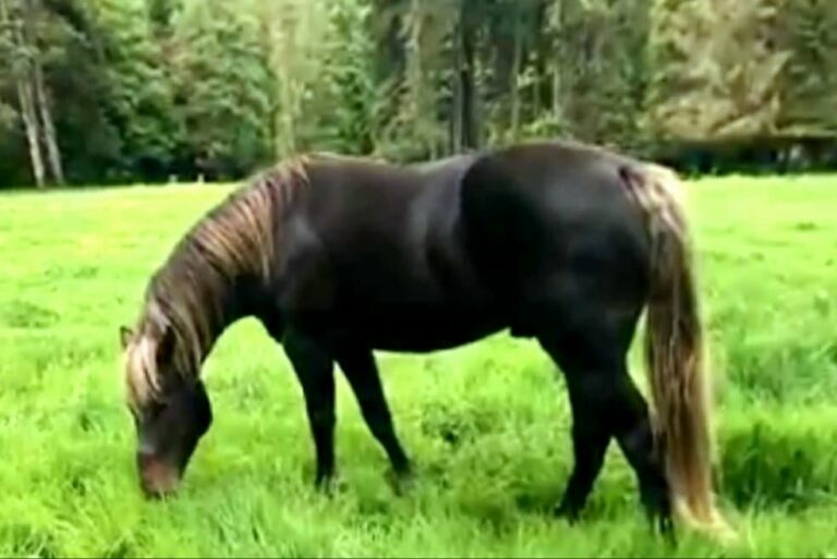 319367155 565710312233294 2608869372202475707 n a1a0a2991b500eb8209a44d21fc67cc8 1 768x513