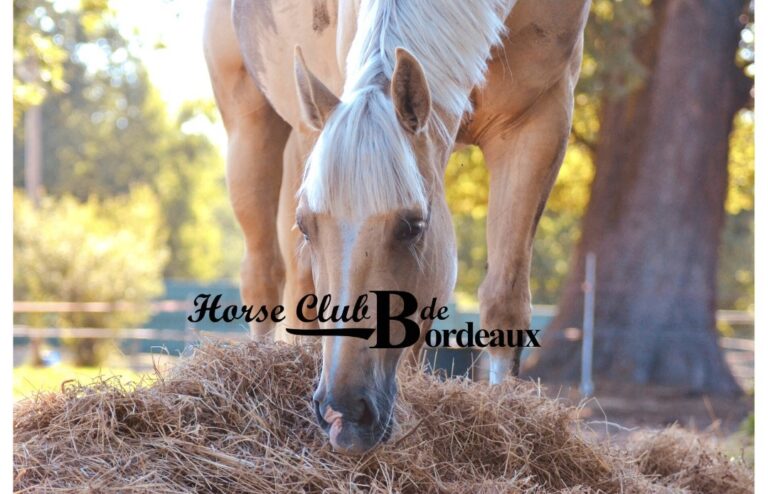 5FEDA374 D024 485F 8A53 C0EA0FA6F9A8 75a6219c521a2fded0a35aca45322cc0 768x494