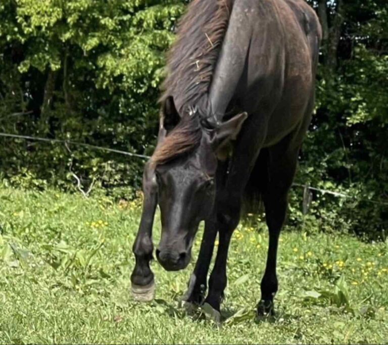 moonlight 1 8b4addcbb9a84f414376ee4c87093ba5 768x683