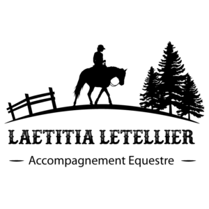Logo Laetitia 378fd94036373b1d0f5a81a9f52a3dac 300x300