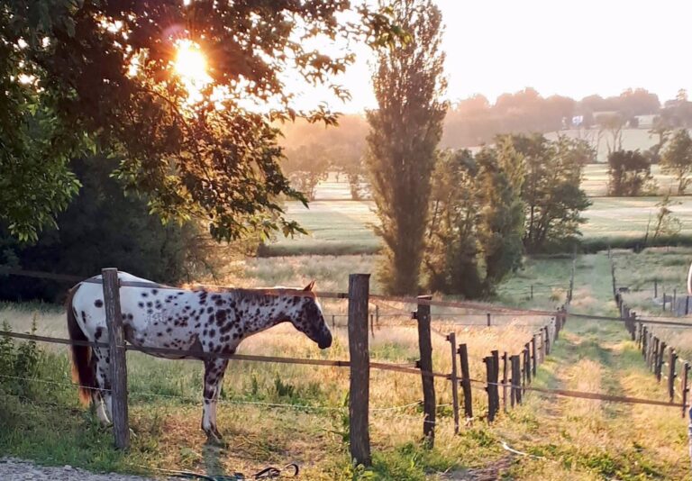 334438294 877529853549262 8976942253980103113 n e917f56d66a988963f9a024f8d0cb90a 768x534