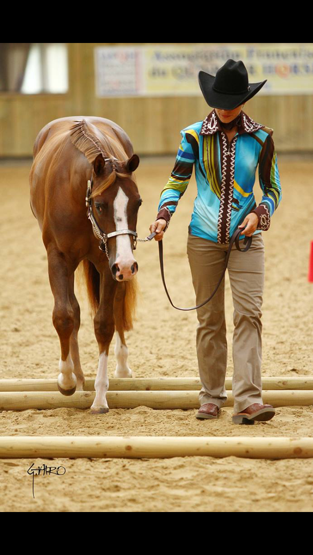 41C54F7C 1435 448C B712 087D0FFFBF6B 1