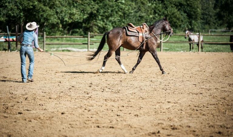 852CCB63 2287 4572 9053 AB0D9D9A4EF2 768x451