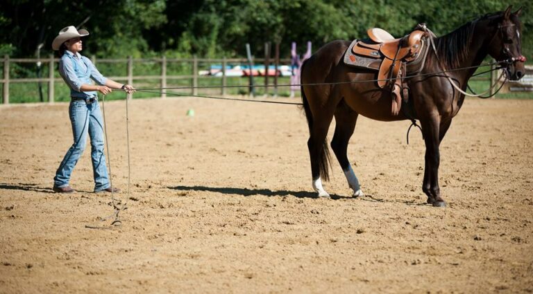 E0F78D9E 40FE 46AE 93D1 BC763FD677A6 768x425