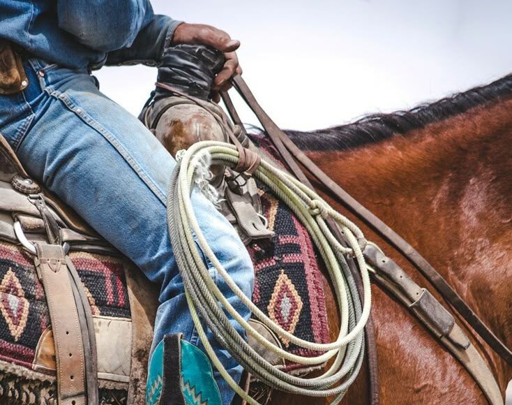 Elevage france western testing