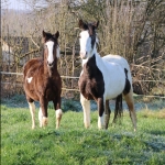 Avatar de l’utilisateur/utilisatrice