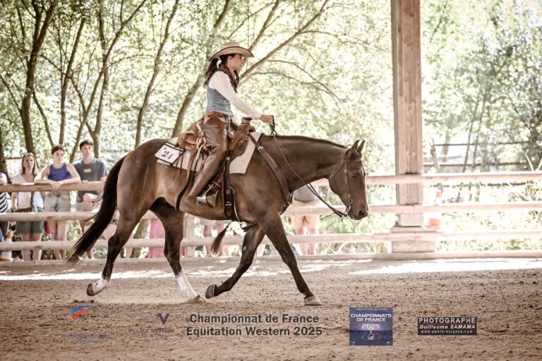 RANCH REIDING 11H00 VENDREDI 2717 768x512