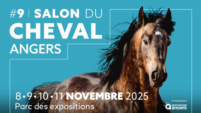 salon du cheval 1280x720 1 1 768x432
