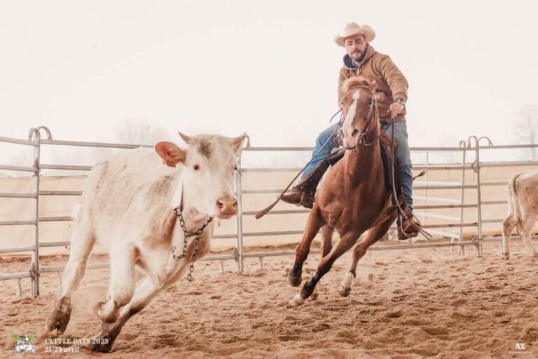 PHOTO 2024 12 18 13 05 46 1 768x512