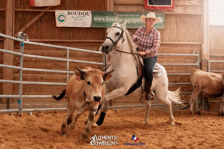 PHOTO 2024 12 18 13 07 52 768x512