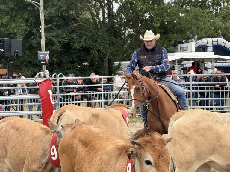 tempImageE3xh7V 768x576