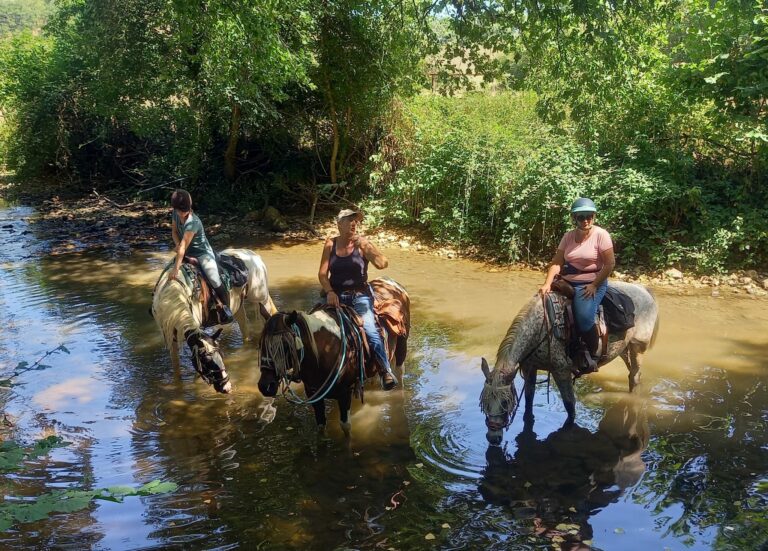 IMG 20250811 WA0001 768x551