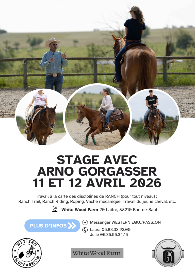 Stage Arno Gorgasser 768x1086