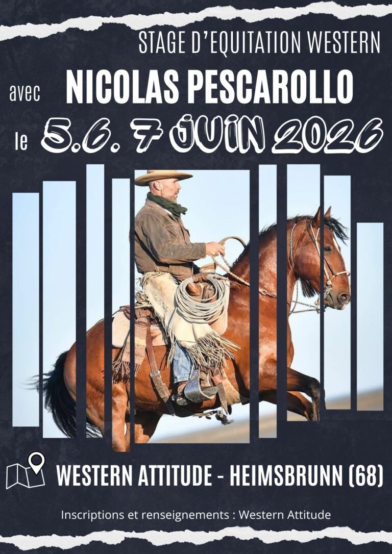 affiche stage nicolas p 768x1086