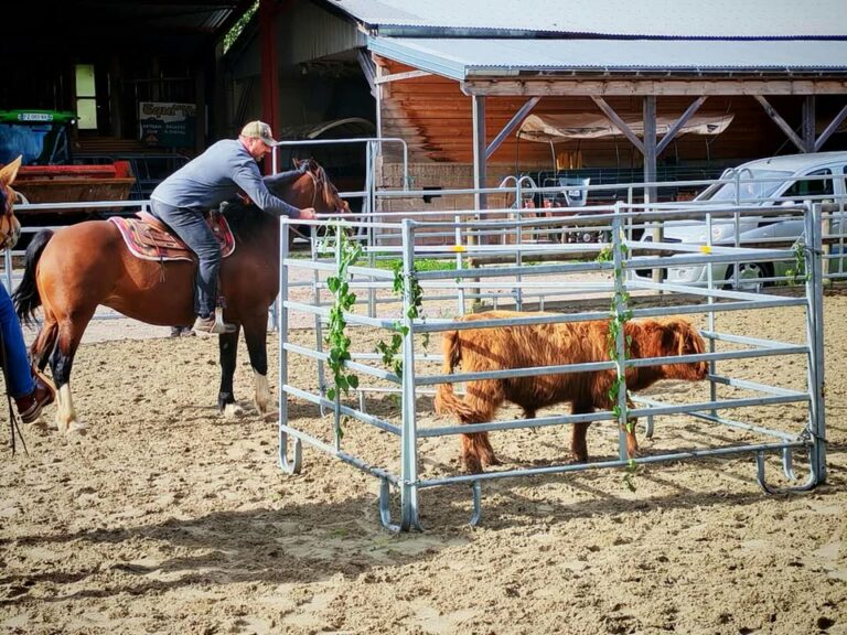 image 4385689495044787 768x576