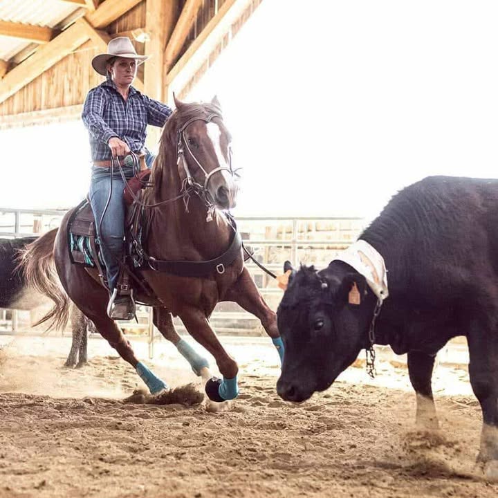 image 897178739883360