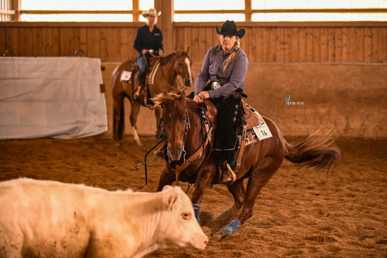 photo concours VRH Julie 1 scaled 1 1 768x512