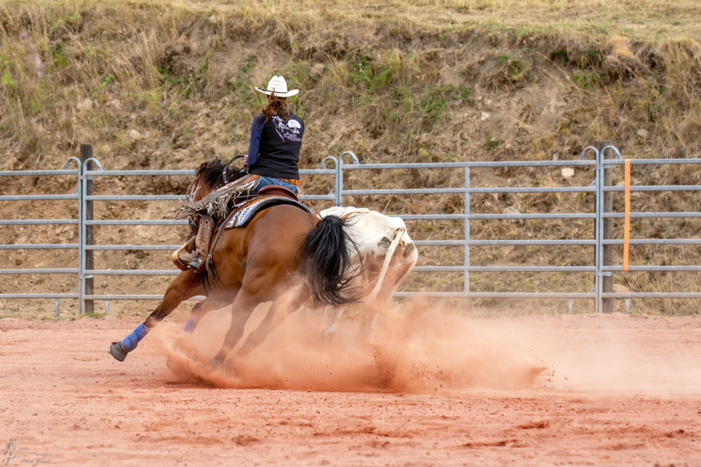 photo concours versatility ranch horse 2 768x512