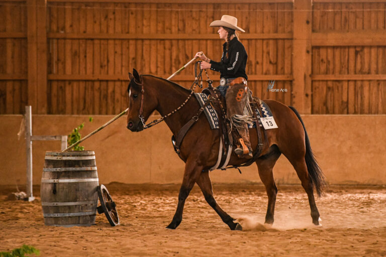 photo concours versatility ranch horse 9 scaled 1 768x512