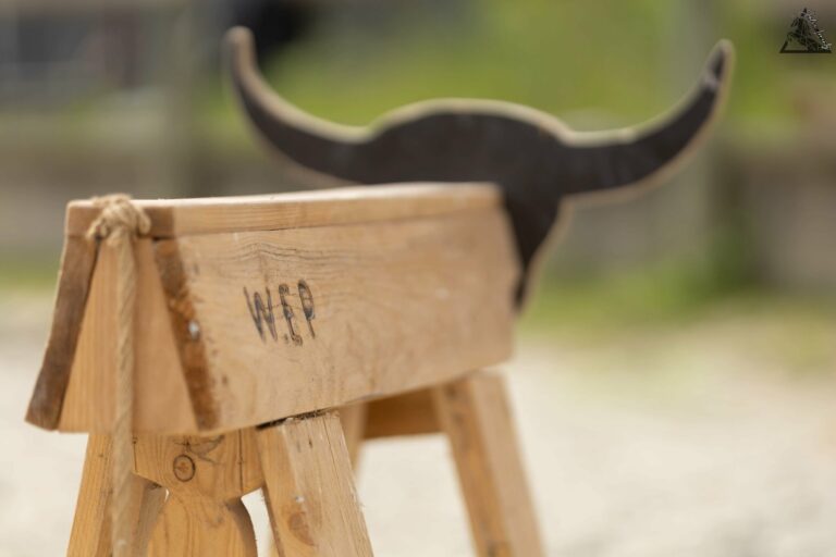 photo stage ranch horse 22 scaled 1 768x512