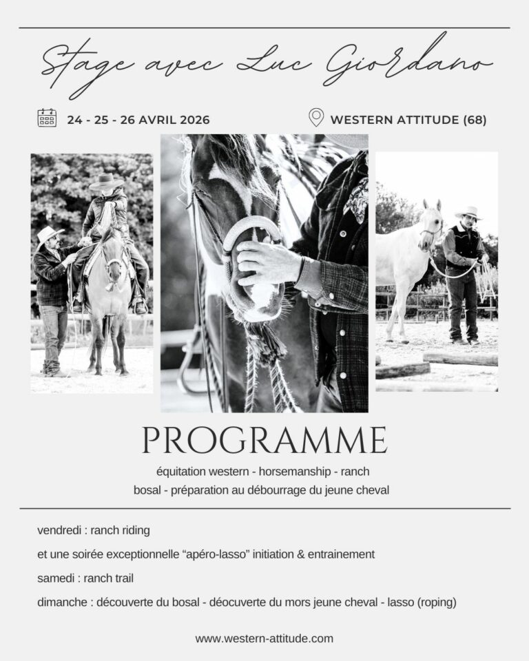 stage luc insta 768x960