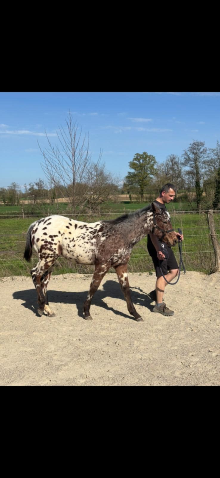 4d25c82f c472 4ad8 9dd0 51b4697c6e98