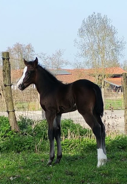 558a4d94 ff4d 4732 9734 3df1d7900769