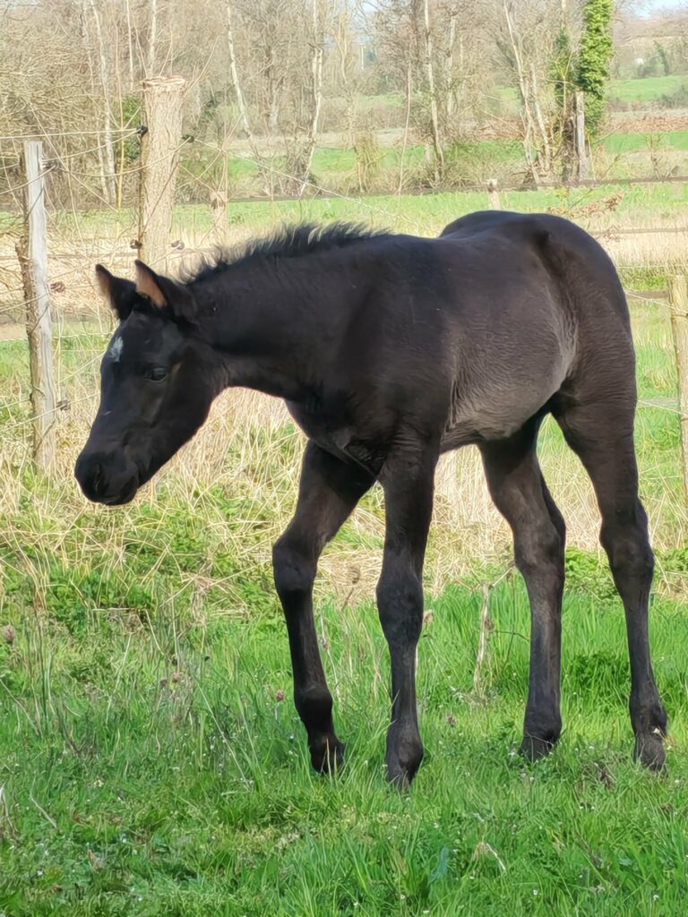 5eea1c32 d9cc 4d5b bf75 436337935ec8 768x1024