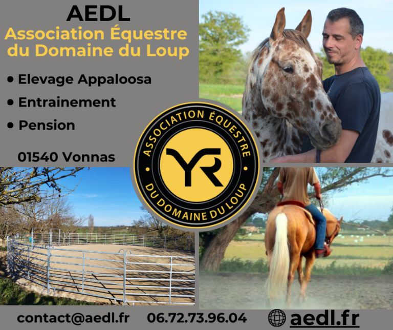 Ajouter des lignes dans le corps du texte 1 768x644