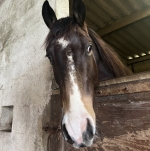 Avatar de l’utilisateur/utilisatrice