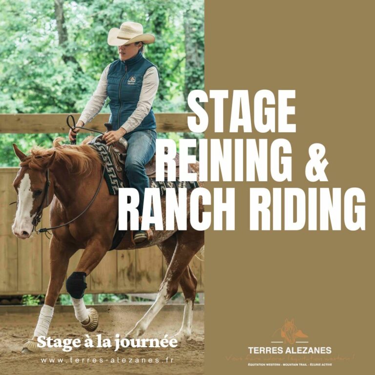STAGE REINING 768x768