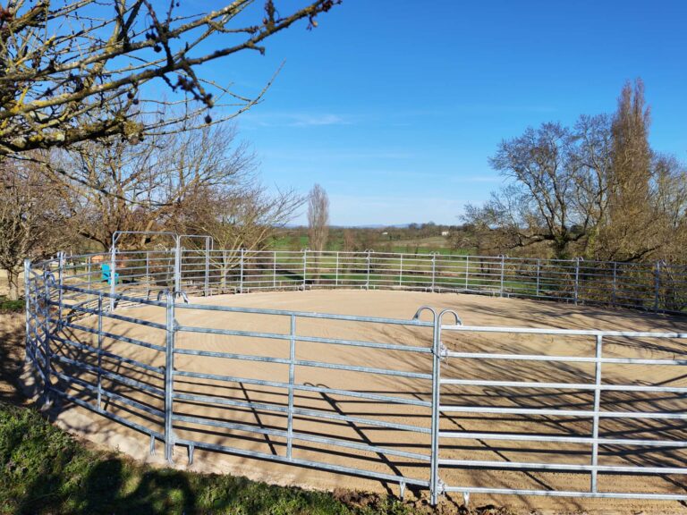 ee8b2df3 a621 42a3 8cbe 879c213b13be 768x576